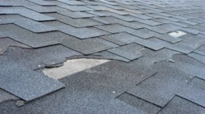 Visible Sagging shingle