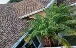 Shingle Roof in Melbourne & Brevard County, Florida