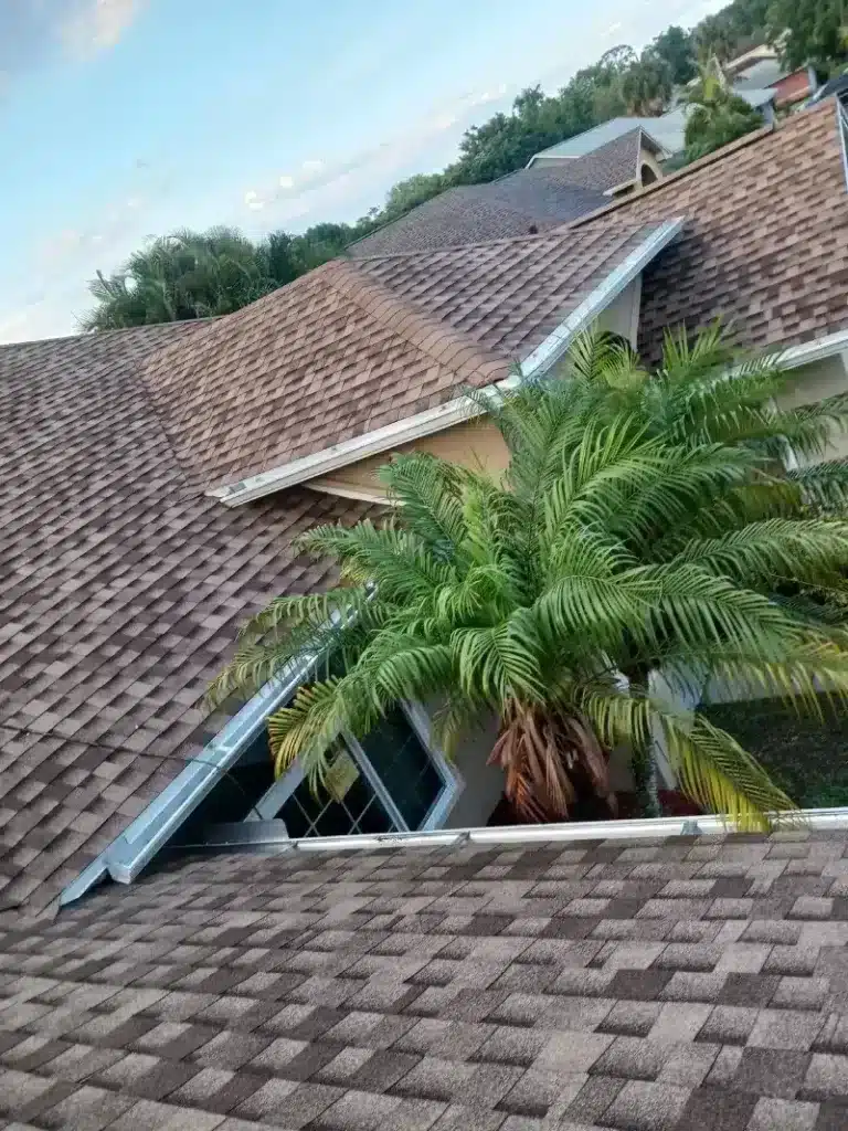 Shingle Roof in Melbourne & Brevard County, Florida